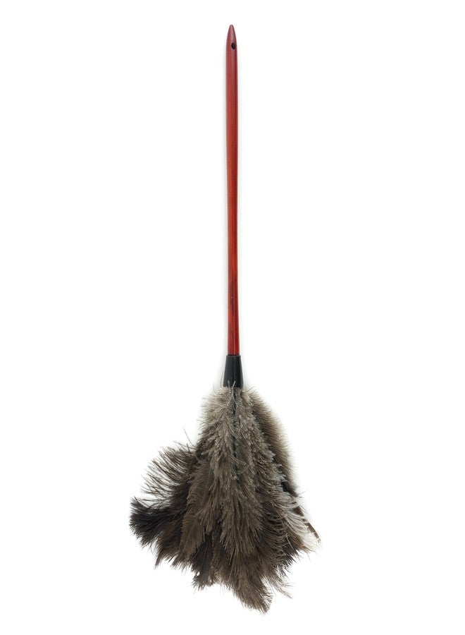 ZUCKER- Ostrich Feather Duster - Natural Ostrich Feathers with Wooden Handle - 24" - Image 3